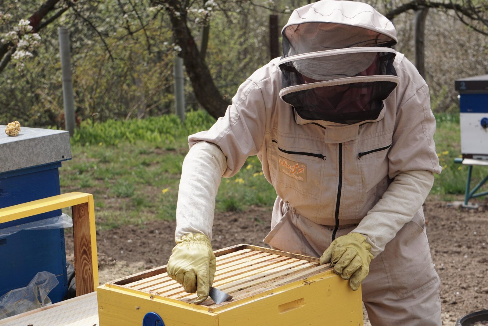Bee Well Study